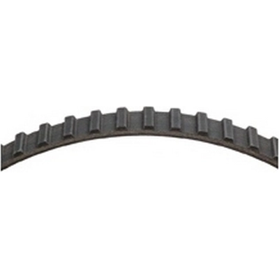 Timing Belt by DAYCO - 95020 pa4