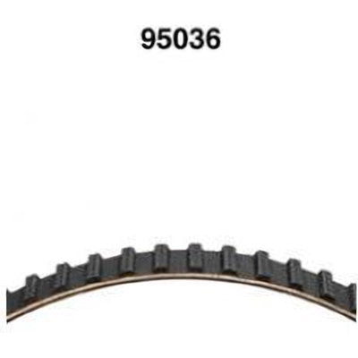 Timing Belt by DAYCO - 95036 pa2