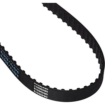 Timing Belt by DAYCO - 95070 pa2