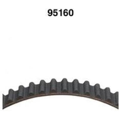 Timing Belt by DAYCO - 95160 pa2