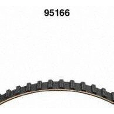 Timing Belt by DAYCO - 95166 pa2