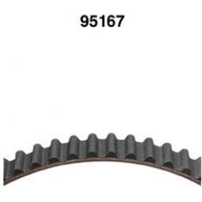 Timing Belt by DAYCO - 95167 pa3