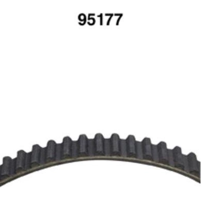 Timing Belt by DAYCO - 95177 pa1