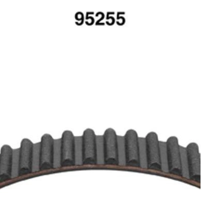 Timing Belt by DAYCO - 95255 pa2