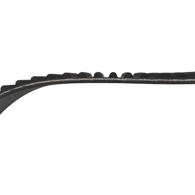 SKP - SKT259 - Timing Belt pa1