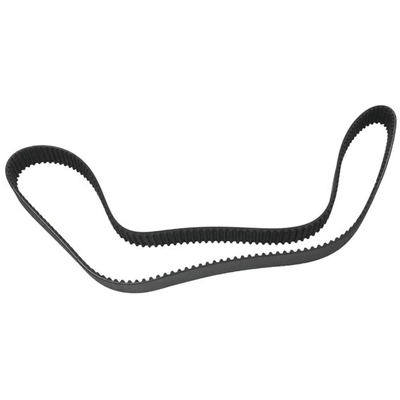 SKP - SKT259 - Timing Belt pa2