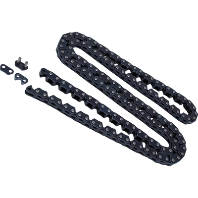 Timing Chain by CLOYES GEAR INC - C961 pa1