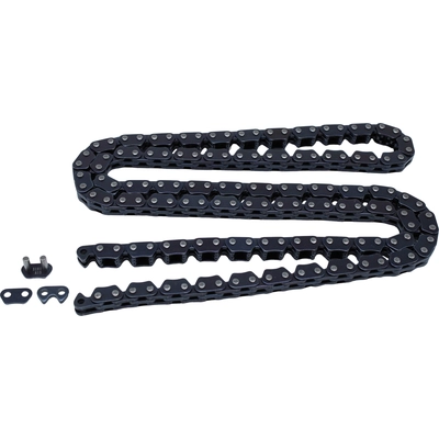 Timing Chain by CLOYES GEAR INC - C961 pa2
