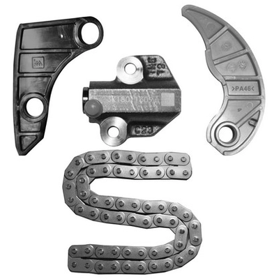 INA - ZC76311PS - Engine Timing Chain Kit pa1