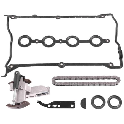 VAICO - V10-10005 - Timing Chain Kit pa1