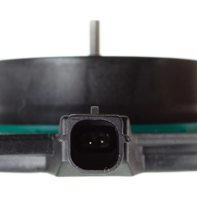 Timing Solenoid by HOLSTEIN - 2VTS0186 pa2