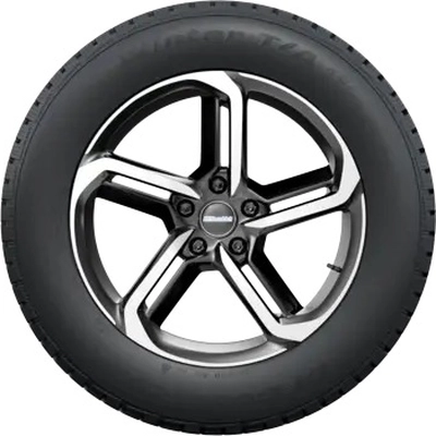 WINTER T/A KSI by BFGOODRICH - 19" Tire (235/50R19) pa1