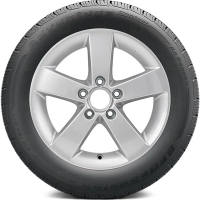 Advantage Control by BFGOODRICH - 17" Tire (225/55R17) pa1