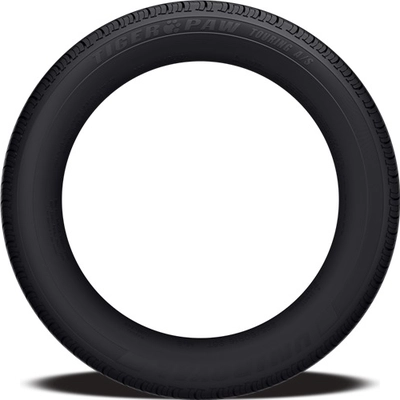 ALENZA SPORT A/S by BRIDGESTONE - 19" Tire (225/45R19) pa1