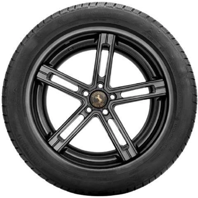WINTER 19" Tire 255/50R19 by CONTINENTAL pa12