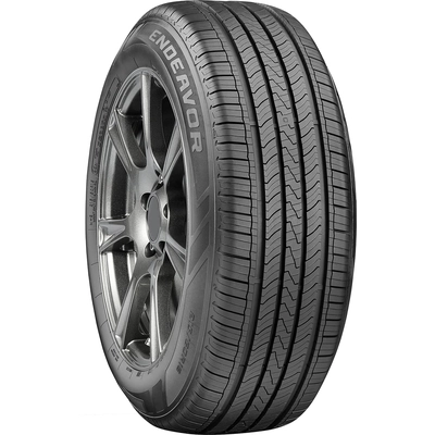 ENDEAVOR by COOPER TIRES - 17" Tire (225/55R17) pa4
