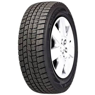 DUNLOP - 266016616 - 16 inch Winter Maxx 2 Tire (205/60R16) pa1