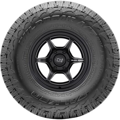WILDPEAK A/T4W by FALKEN TIRES - 17" Tire (255/65R17) pa1