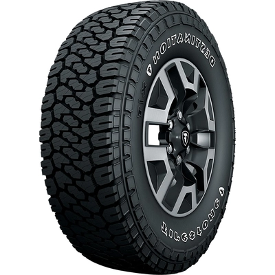 DESTINATION X/T by FIRESTONE - 17" Tire (265/65R17) pa1