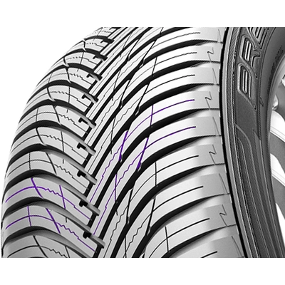 ALL SEASON 19" Tire 245/45R19 by MAXXIS pa1