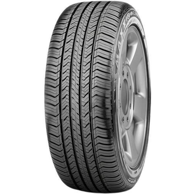 ALL SEASON 17" Tire 225/50R17 by MAXXIS pa5