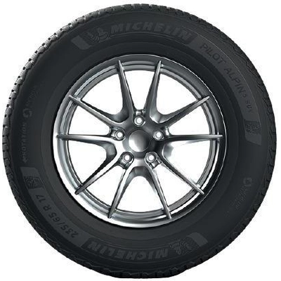 WINTER 20" Tire 305/40R20 by MICHELIN pa4