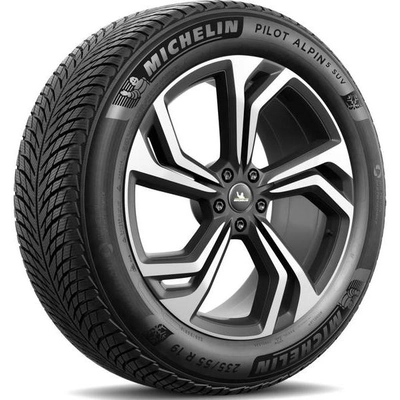 MICHELIN - 15472 - Pilot Alpin PA5 295/30R21 102V pa2