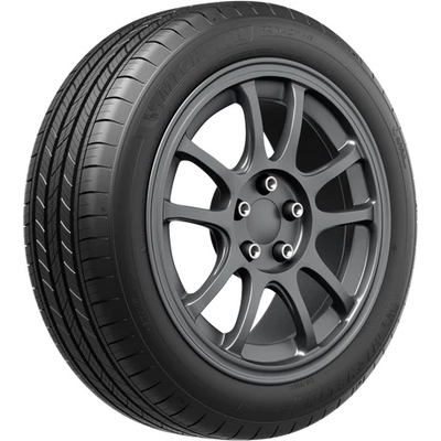 MICHELIN - 17208 - All-Season 19" Tire Primacy A/S 245/45R19 pa2
