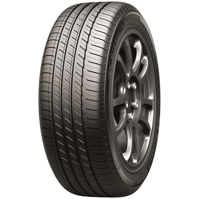 Primacy Tour A/S by MICHELIN - 19" Tire (255/50R19) pa1