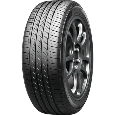 PRIMACY TOUR A/S by MICHELIN - 20" Tire (245/45R20) pa2