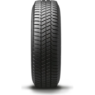 MICHELIN - 40955 - All-Season 15'' Tire Agilis CrossClimate 205/65R15 pa6