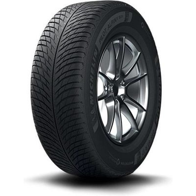 WINTER 19" Tire 255/55R19 by MICHELIN pa2