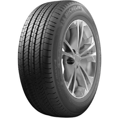 ALL SEASON 17" Tire 235/65R17 by MICHELIN pa2