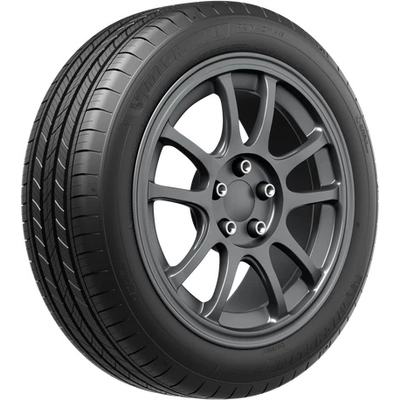 MICHELIN - 74258 - All-Season 19" Tire Primacy All Season 245/45R19 pa5
