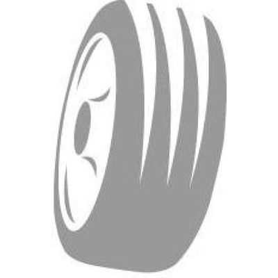 WINTER 18" Tire 225/45R18 by MICHELIN pa1