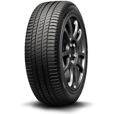 WINTER 18" Tire 225/45R18 by MICHELIN pa2