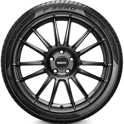 P Zero by PIRELLI - 19" Tire (255/55R19) pa2