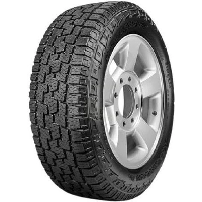 ALL SEASON 17" Pneu 225/65R17 by PIRELLI pa2