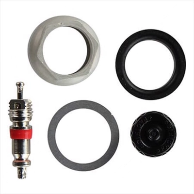 Tire Pressure Monitoring System Sensor Service Kit by DENSO - 999-0601 pa3