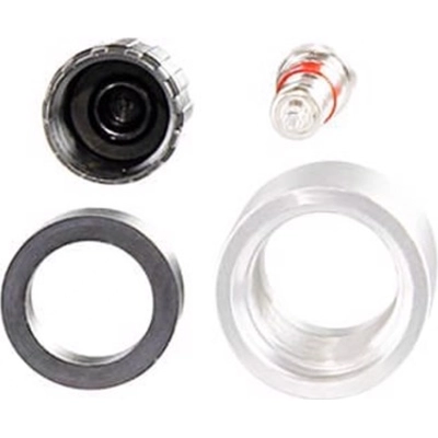 Tire Pressure Monitoring System Sensor Service Kit by DENSO - 999-0624 pa4