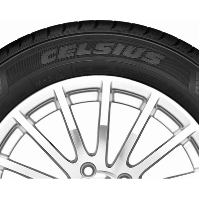 ALL SEASON 19" Tire 245/45R19 by TOYO TIRES pa2
