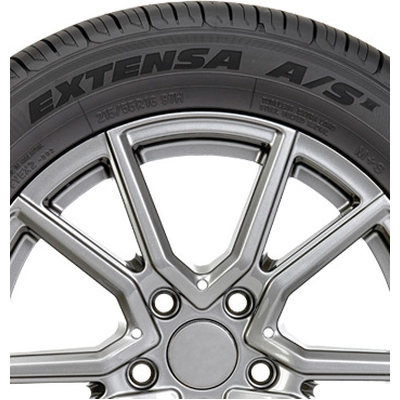 EXTENSA A/S II by TOYO TIRES - 15" Tire (215/60R15) pa1