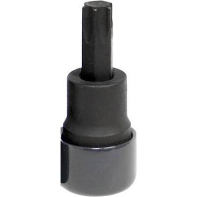 Torx Bit Set by LISLE - 82290 pa1