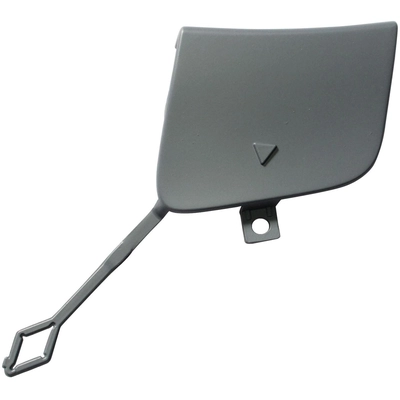 Tow Hook Cover - MB1029155 pa1
