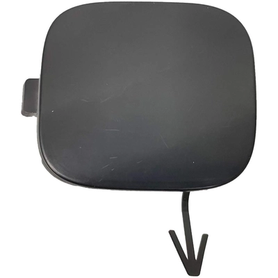 Tow Hook Cover - NI1029113 pa1