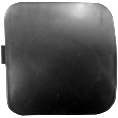 Tow Hook Cover - TO1029118 pa1