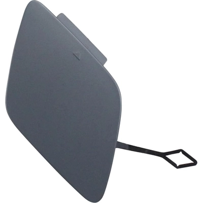 Tow Hook Cover - BM1029166 pa3