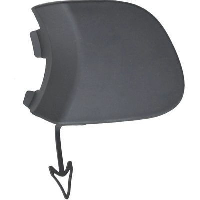 Tow Hook Cover - FO1029103 pa1