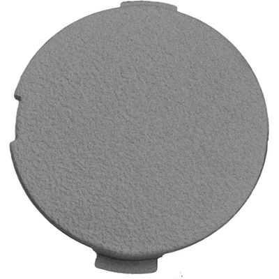 Tow Hook Cover - FO1029117 pa1