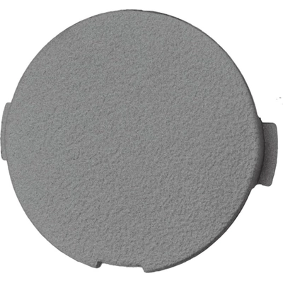 Tow Hook Cover - FO1029117 pa2